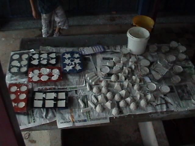 DSC01686.jpg