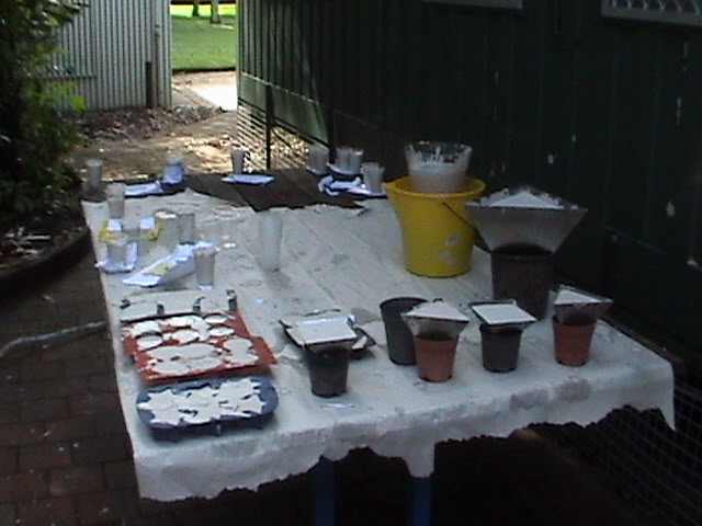DSC02062.jpg