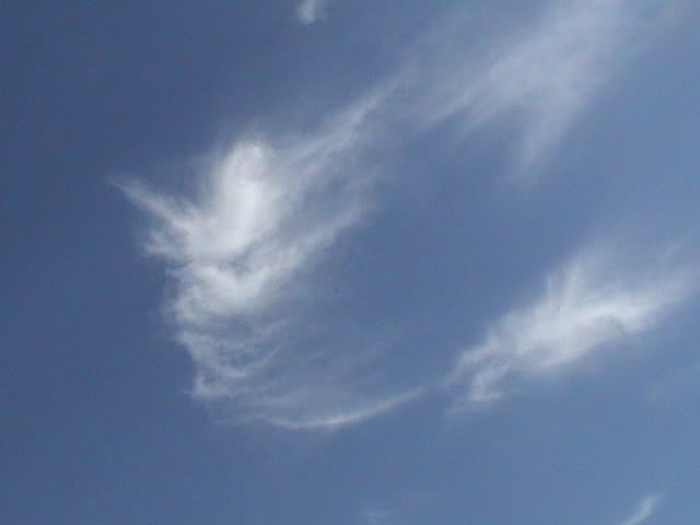 DSC01320.jpg