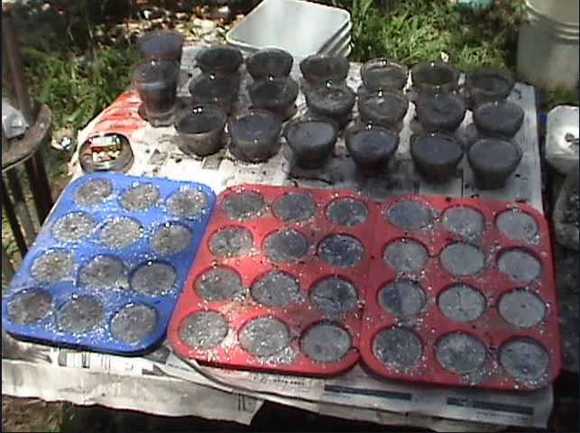 2025-05-26 15_58_28-The CrowHouse Forums - View topic - Orgonite in Australia.jpg