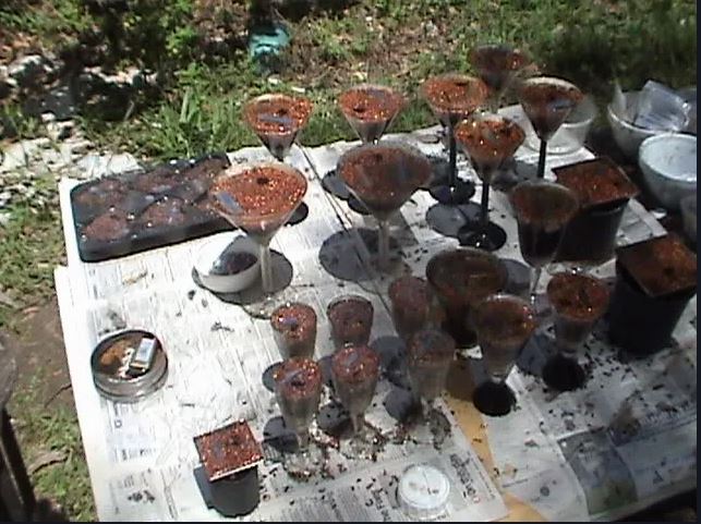 2025-05-26 15_58_33-The CrowHouse Forums - View topic - Orgonite in Australia.jpg