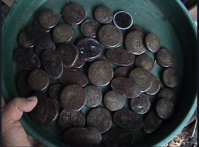2025-05-26 15_59_05-The CrowHouse Forums - View topic - Orgonite in Australia.jpg