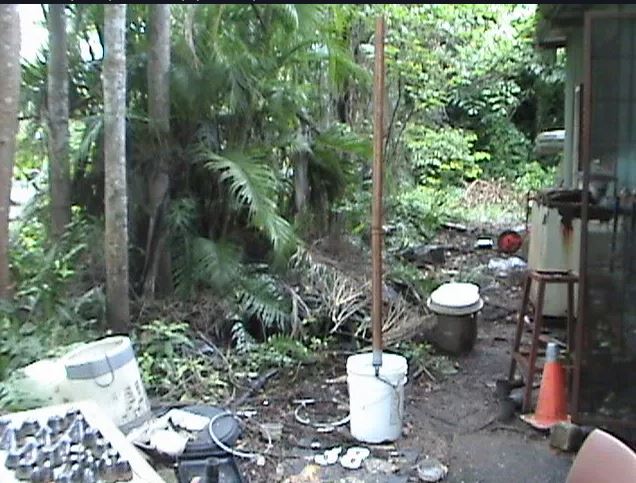 2025-05-26 16_25_37-The CrowHouse Forums - View topic - Orgonite in Australia.jpg