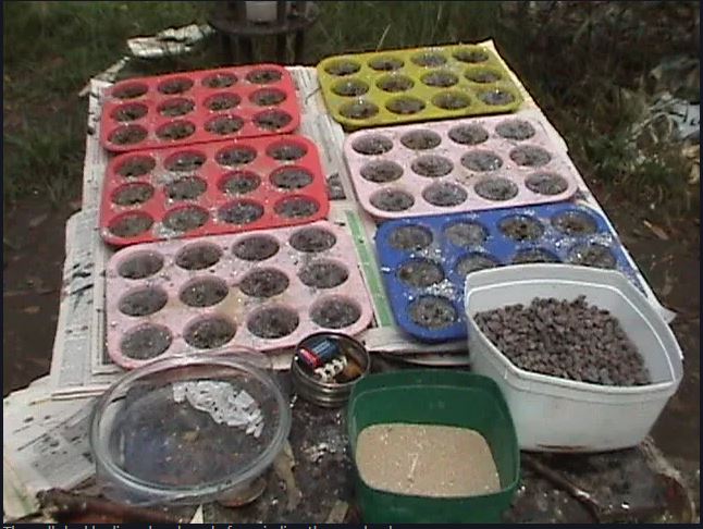 2025-05-26 16_25_52-The CrowHouse Forums - View topic - Orgonite in Australia.jpg