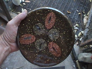 Picture4.jpg