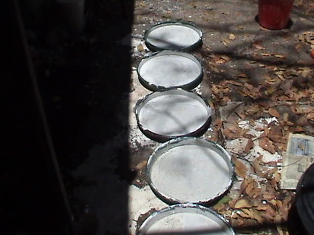 DSC01502.jpg